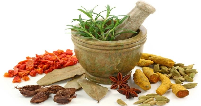 گیاهان دارویی