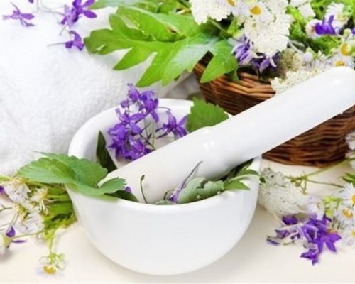 روش های درآمد زایی از طب سنتی
